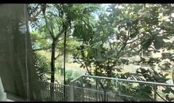 Cabana (D28), Terrace #620047401